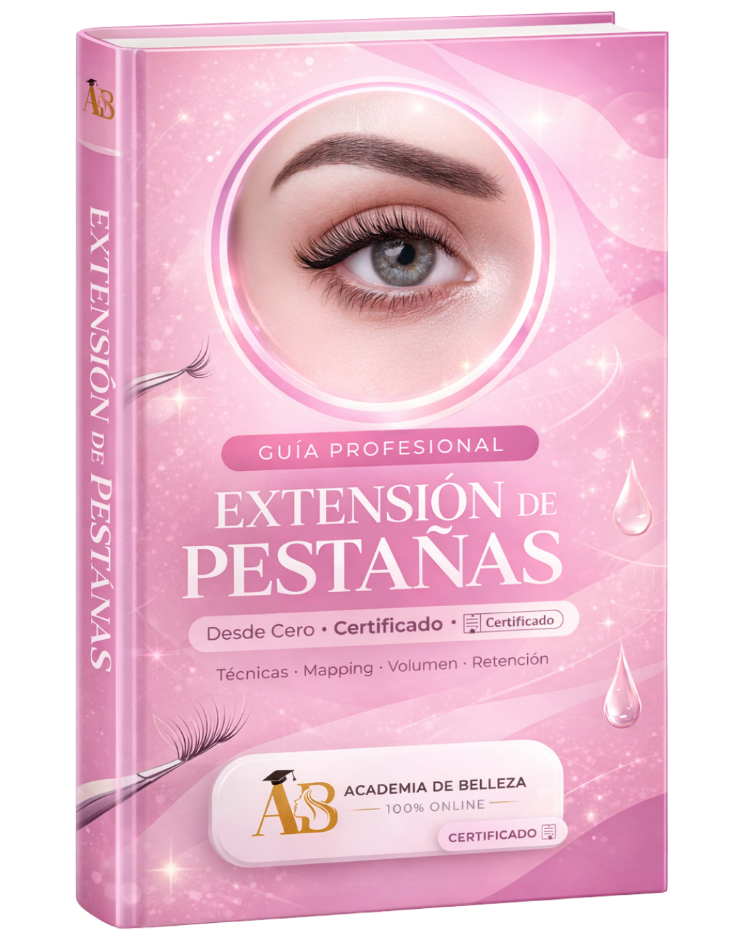 Master Extension de Pestañas