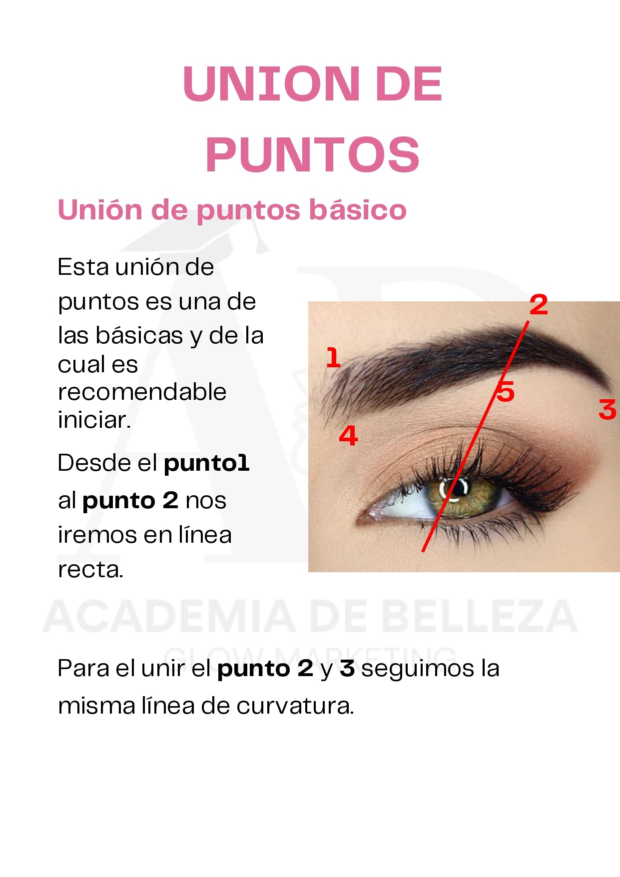Guia Cejas Perfectas